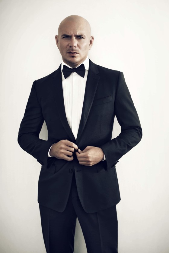 Pitbull | PDA Speakers